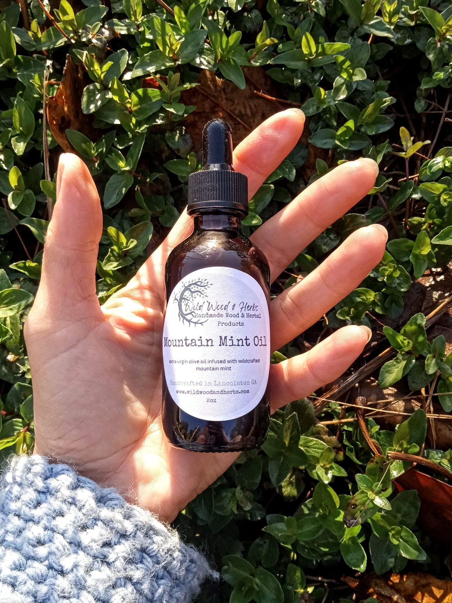 Wildcrafted Mountain Mint Infused Olive Oil: Fragrant Herbal Carrier Oil (2oz)