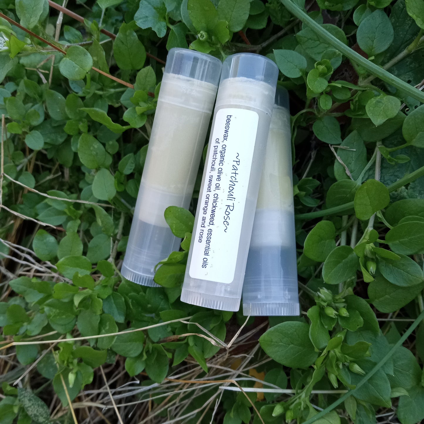 Chickweed Lip Balm with Patchouli & Rose Essential Oils - Herbal Lip Balm with Olive Oil and Beeswax - Natural Skin Care for Chapped Lips