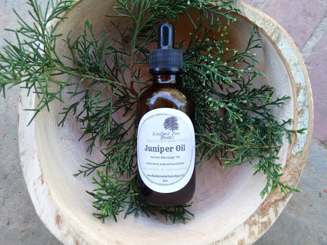 Forest Fresh Juniper Massage Oil - Aromatic Herbal Carrier Oil for DIY Perfume or Salve Making - Juniper Infusion for Joint Massage