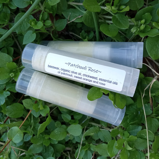 three clear plastic tubes of lip balm nestled in a bed of chickweed herb
