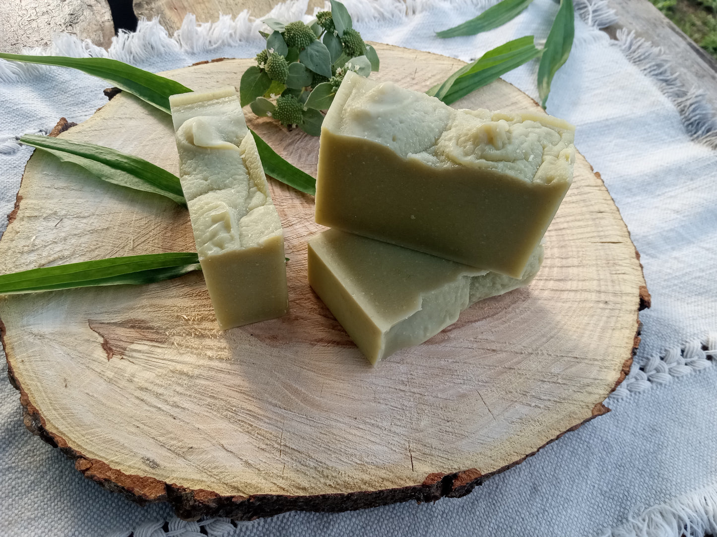 Sea Spray - Plantain Leaf Soap for Sensitive Skin Handmade with Moisturizing Tallow & Olive Oil and Scented with Lemongrass Essential Oil - Herbal Soap