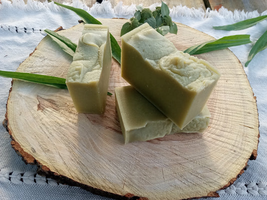 Sea Spray - Plantain Leaf Soap for Sensitive Skin Handmade with Moisturizing Tallow & Olive Oil and Scented with Lemongrass Essential Oil - Herbal Soap