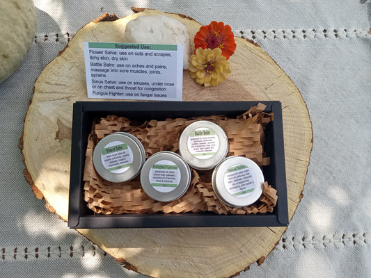 Herbal Salve Collection of 4 Sample  Size Salves for Natural Skincare - Unique Handmade Herbal Gifts